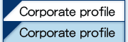 Corporate Profile